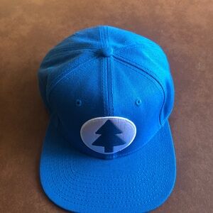 Disney Gravity Falls Dipper Cap